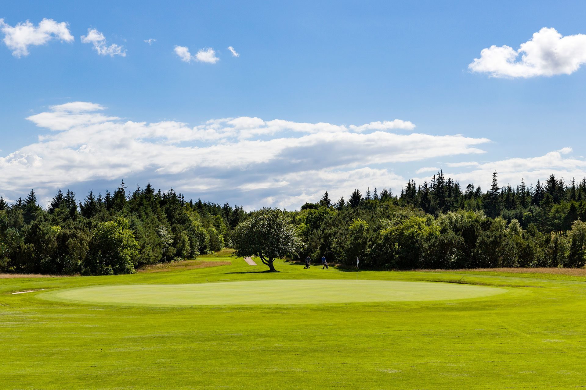 ifølge På jorden Diskant Forside - Esbjerg Golfklub